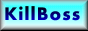 Kill Boss